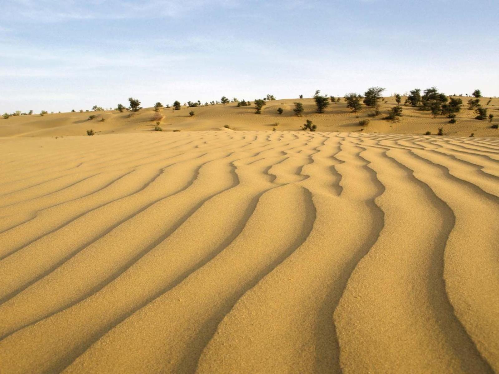 Sam Dunes Desert Luxury Camp & Resort Jaisalmer Bagian luar foto