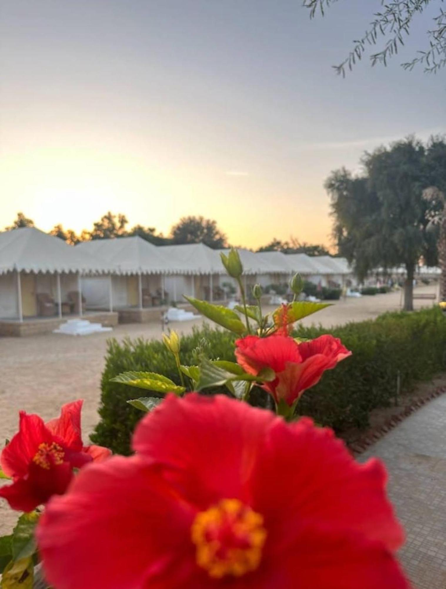 Sam Dunes Desert Luxury Camp & Resort Jaisalmer Bagian luar foto